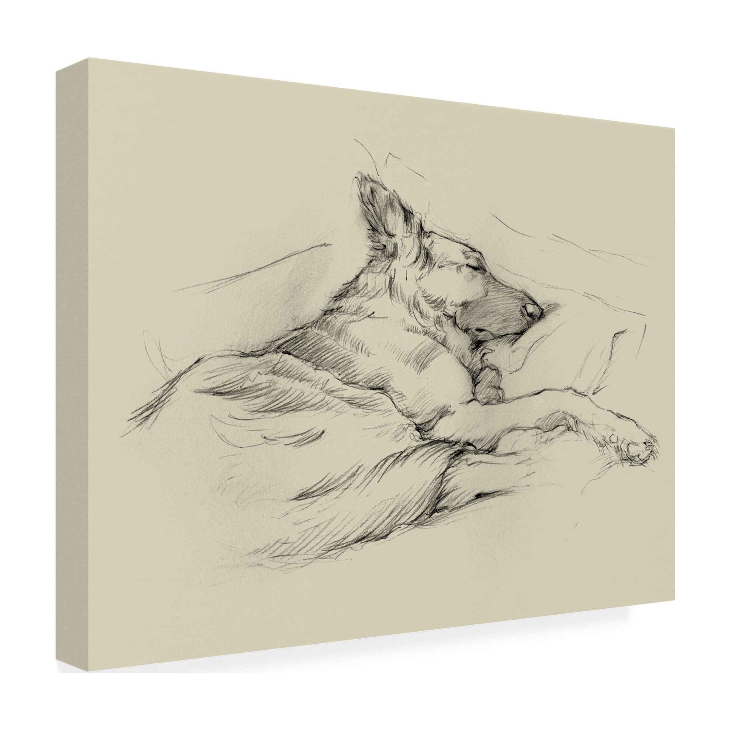Trademark Fine Art Ethan Harper Dog Days Iv Canvas Wall Art - 35x47