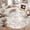 Brown, variant on YOUFORTONG 9ft Round Washable Abstract Area Rug, Modern Low Pile Carpet, Soft Non-Slip Stain Resistant Indoor Mat for Living Room Bedroom Dining Room,Grey