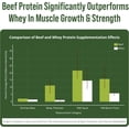 thumbnail image 3 of Peak Performance Beef Protein Isolate Powder - Lactose Free, Great Tasting, Grass Fed, No Whey. Chocolate Flavor -30 Servings, 3 of 10
