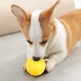 thumbnail image 3 of El juguete del perro, el juguete amarillo durable portátil de la bola del perro de EVA acaricia la solución innovadora del juguete de la bola del perro, 3 of 8