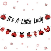 Ladybug Baby Shower Decorations Lady Beetles Gender Reveal It’s A Little Lady Banner Ladybug Garland Red and Black Party Supplies for Girls