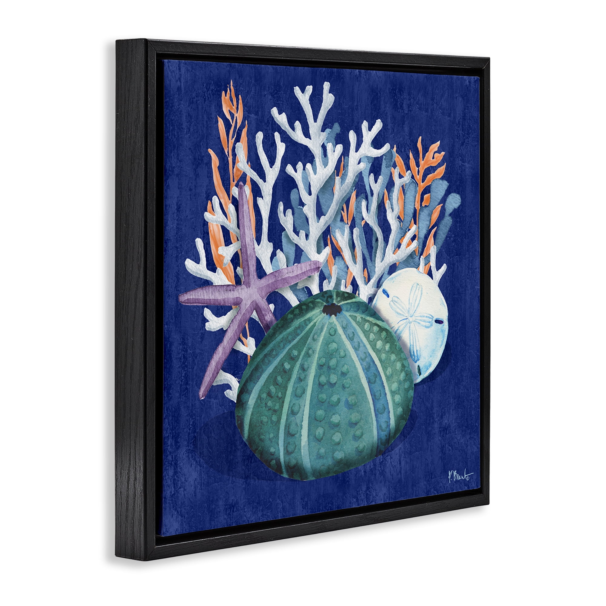 Stupell Industries Monterey Urchin & Coral Coastal Painting Black Floater Framed Canvas Art Print Wall Art, 25 x 25