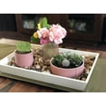 thumbnail image 4 of Chesapeake Bay Candle Minimalist Collection Clary Sage - 14.9oz Soft-Touch 3-Wick Ceramic Candle, 4 of 6