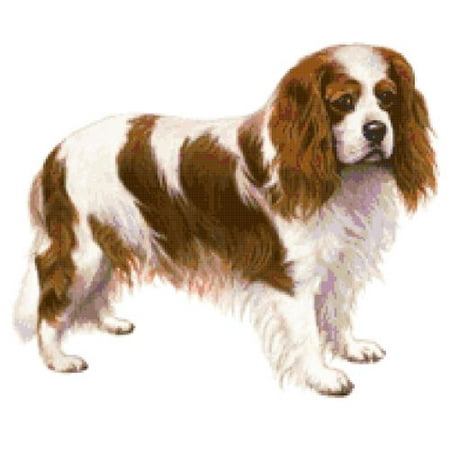 Cavalier Spaniel Embroidery - Cavalier King Charles Spaniel Dog Counted Cross Stitch Pattern