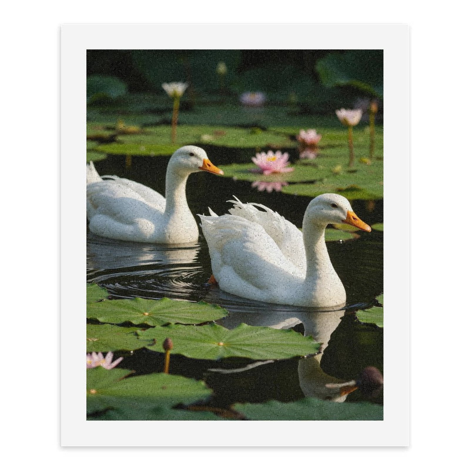 Paint by Numbers Kit for Adults, White Ducks Lilies Pond Tranquil Scene Paint by Numbers, Easy Paint by Numbers Kit for Adults Beginner, DIY Adult Paint by Number Kits on Canvas, Home Decor