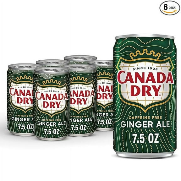 Pack of 1 Canada Dry Ginger Ale Soda, 7.5 fl oz cans, 6 pack
