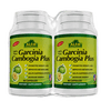 Alfa Garcinia Plus 90 Ct , 2 pk