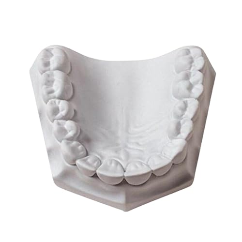 3 LB - White Dental Lab Plaster for Dental Cast Fabrication, Dental Study Model, Casting Replicas -3 lb. Dental Plaster White Type II Regular Set Model Stones Used in Dental Lab, A
