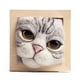 thumbnail image 1 of Kits de fieltro de aguja para principiantes, Kit de adornos para marco de fotos de cabeza de gato, decoración de gato encantadora y Kit de juguete de peluche de gato de fieltro de lana, 1 of 5