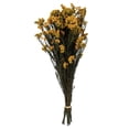 thumbnail image 1 of Vickerman H1RCF725-1 16-23 in. Aspen Gold Rice Flower with 8-10 oz Bundle, 1 of 1