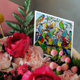 thumbnail image 3 of 3drose, Australian Parakeets, 6 Greeting Cards with Envelopes, 3 of 7