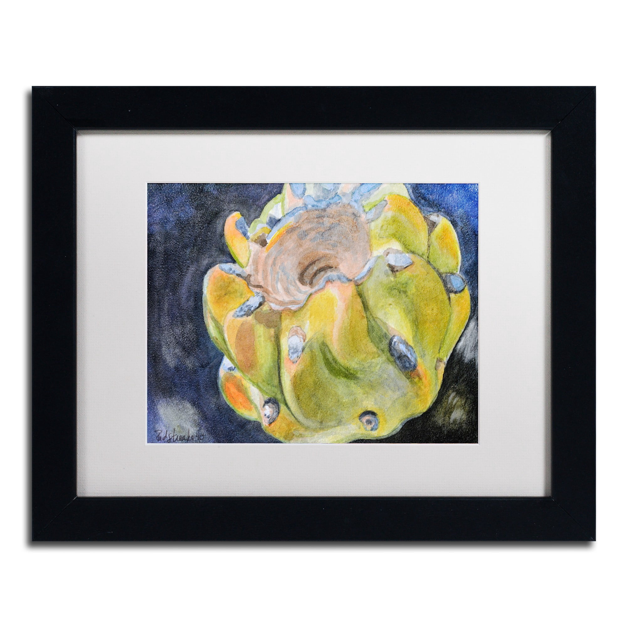 Trademark Fine Art "Cactus Fruit" Canvas Art by Jennifer Redstreake White Matte, Black Frame