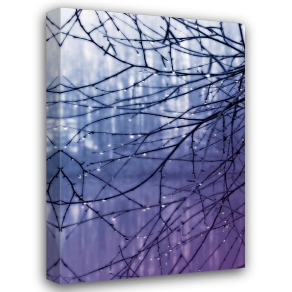 Alan Hausenflock 28x40 Gallery Wrapped Canvas Wall Art Titled - Droplets I