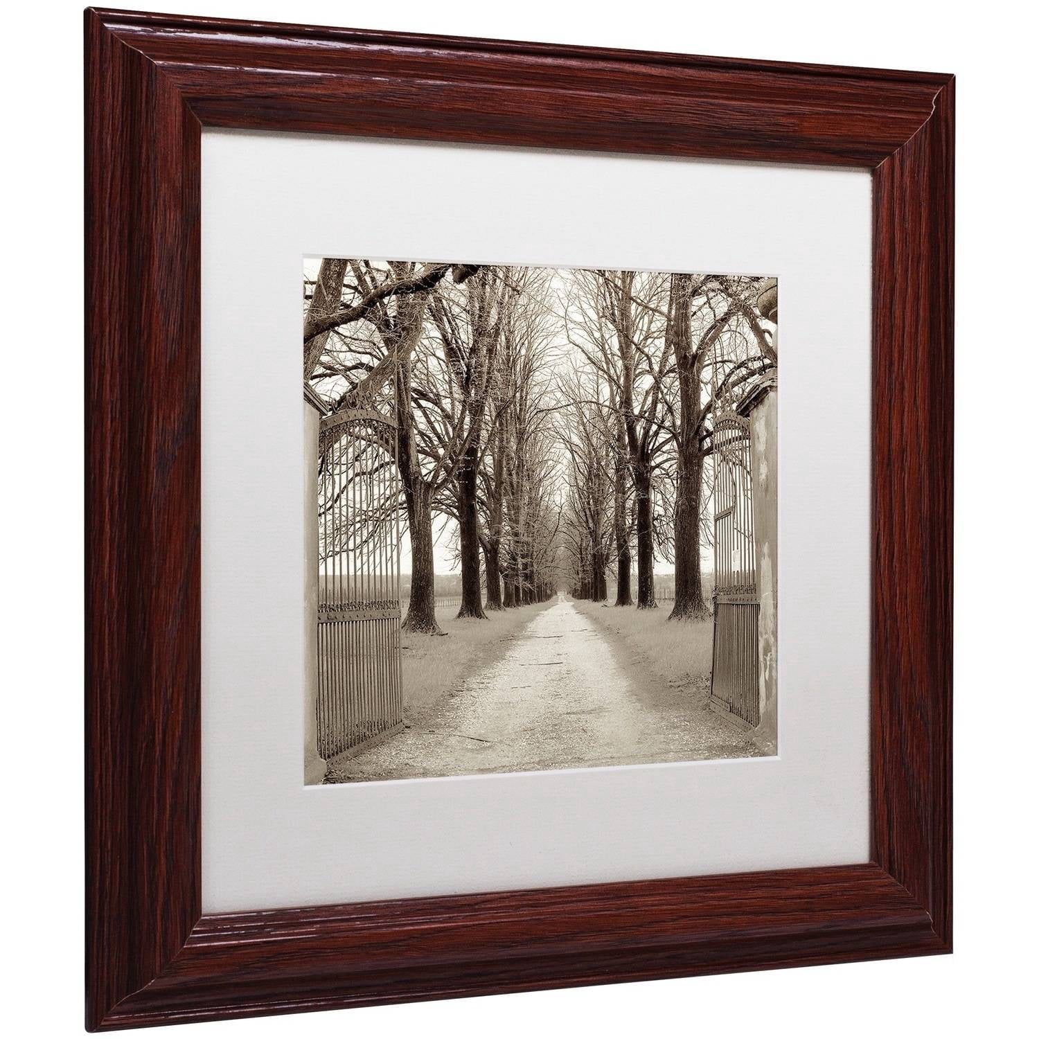 Trademark Fine Art "Veneto Giardini I" Canvas Art by Alan Blaustein, White Matte, Wood Frame