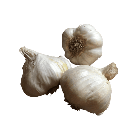 California Jumbo Garlic, 3 Bulbs. Great for Fall Planting! Non GMO - Daylily Nursery Brand