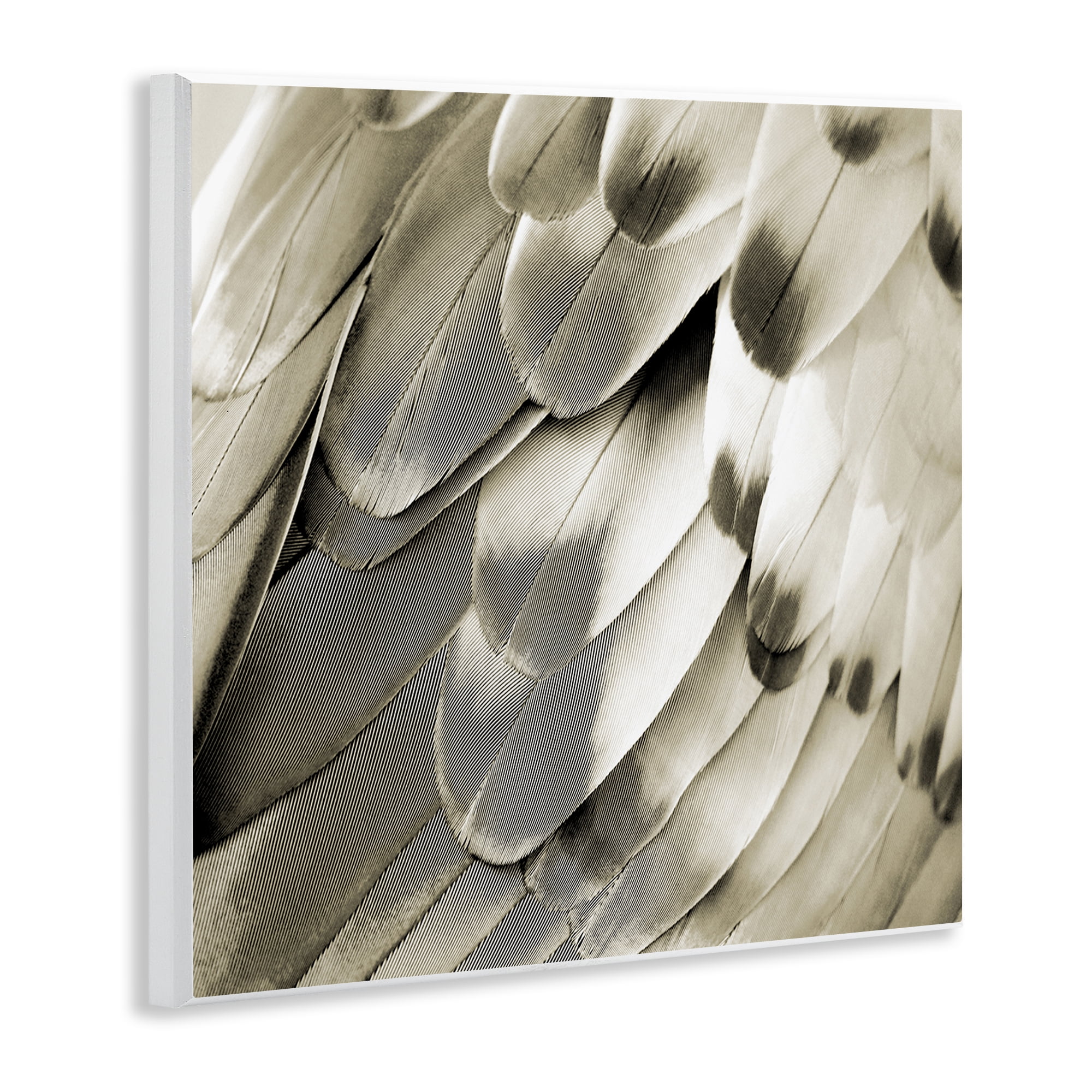 Stupell Industries Sleek Feathers Close Up Animals Painting Unframed Art Print Wall Art, 12 x 12