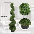 thumbnail image 2 of 43” Spiral Boxwood Artificial Topiary In Plastic Pot (set Of 2 ), 2 of 5