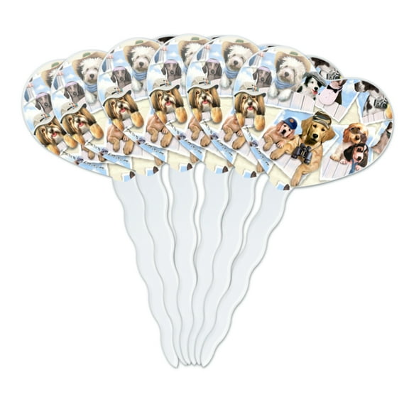Cool Dogs on Framed on Fence Pattern Heart Love Cupcake Picks Toppers Decoration Set of 6