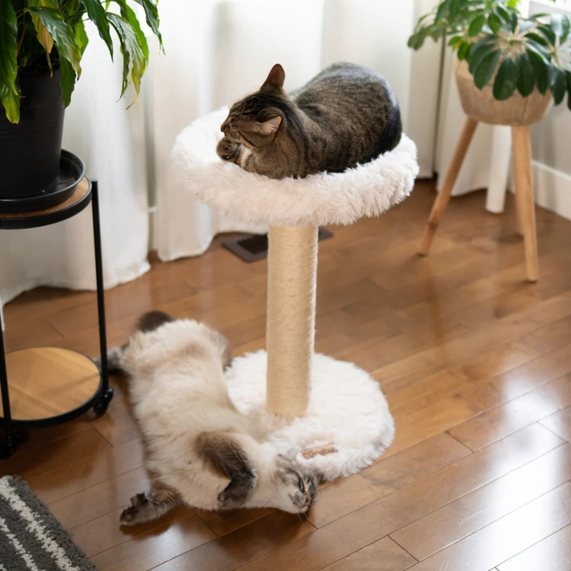 Noba: Classic Cat Tree - Antique White - 1-Level Round Perch, Cozy Faux Fur, Scratchable Rope Post, Climb-Play-Sleep, Animal Pet Lounge, 16 x 24"