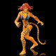 thumbnail image 2 of Figuras de acción de Marvel Legends West Coast Avengers Ironman Tigra Spider Woman Mockingbird Hank Pym, paquete de 5, 6 pulgadas, juguete para niños, regalo de Navidad, 2 of 5