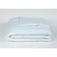 thumbnail image 2 of Hiend Accents Unisex White Down Alternative Insert, Queen - IN1009-SQ-OC One Size, 2 of 2