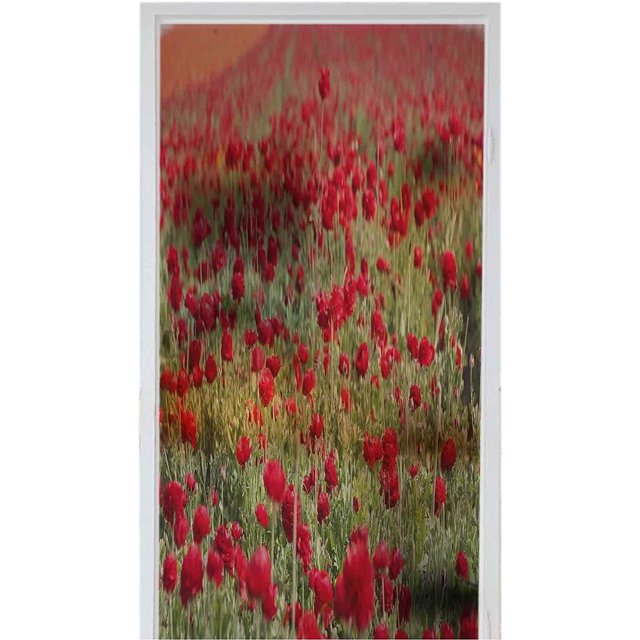 3D Privacy Home Bathroom Window Film Sticker Self Adhesive lass Decor a Beautiful Ranunculus Flowers in a Field aka Buttercup Flower Blooms in Vibrant Warm red Color Spring time 35.4" x 78.7" Door