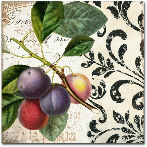 Trademark Fine Art "Les Fruits Jardin III" Canvas Art by Color Bakery