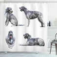 thumbnail image 1 of Ambesonne Irish Wolfhound Shower Curtain, Hunter Dog Postures, 69"Wx75"L, White and Pale Taupe, 1 of 3
