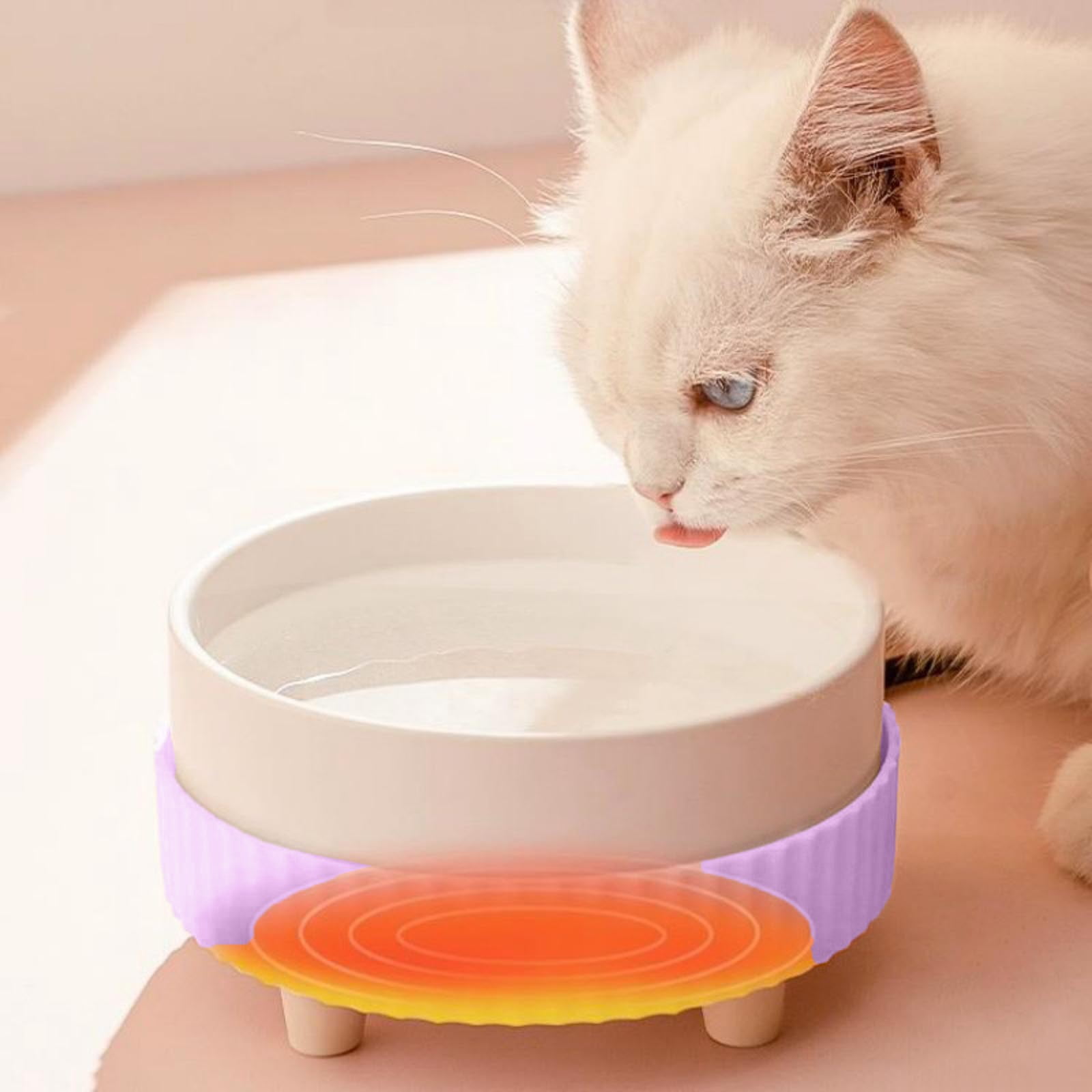 USB Powered Pet Water Dispenser Ceramic Bowl Heated Drinking Device 5V Version for Cats and Dogs