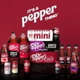 thumbnail image 5 of Diet Dr Pepper Soda Bottle 20 fl oz., 5 of 5