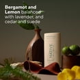 thumbnail image 2 of Native Aluminum-Free Deodorant, Limited Edition Sunset Cedar & Suede, 3.1 oz, 2 of 9