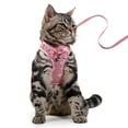 thumbnail image 3 of 5FT Soft Mesh Breathable Dog & Cat Harness & Leash - Escape-Proof & Comfortable for Small & Medium Pets!, 3 of 5