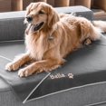 thumbnail image 1 of Personalized Dog Blankets, Fleece, 1 of 8