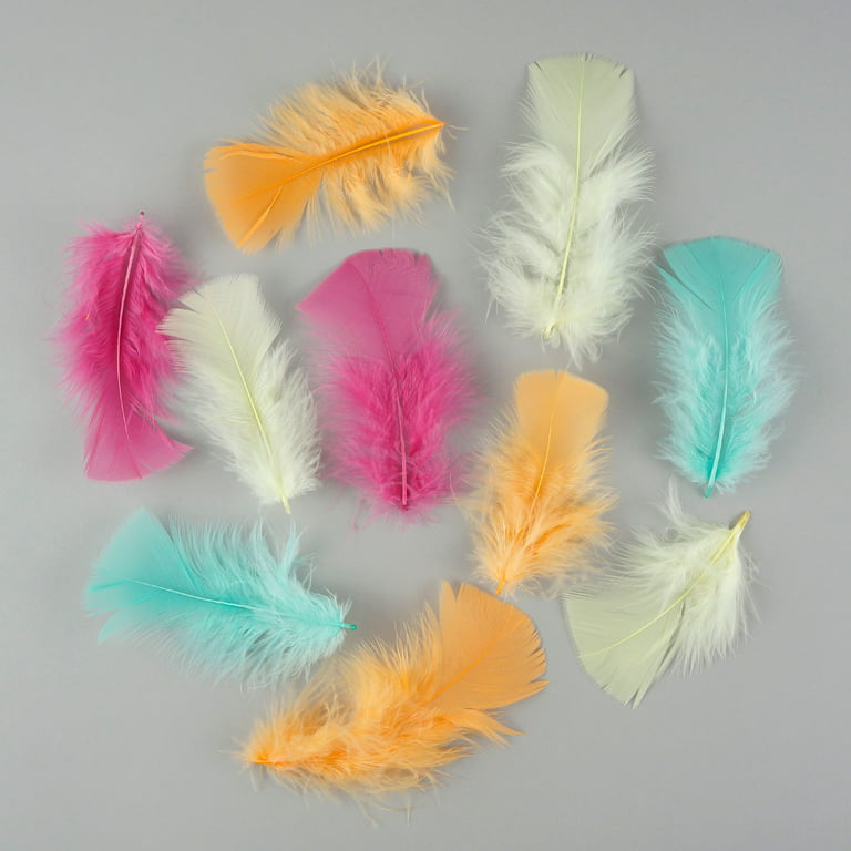 Zucker 3-5 inch Turkey Plumage Feathers for Crafts - .50 oz DIY Headdress,  Dream Catcher, Home Decor Craft Supplies - Mixed Colors 