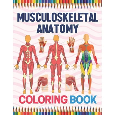 Musculoskeletal Anatomy Coloring Book: Human Body And Human Anatomy Learning Workbook.Muscular (Paperback) by Saikeylane Publication