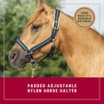 thumbnail image 2 of Cabestro acolchado ajustable de nylon para caballo Weaver Equine, 2 of 5