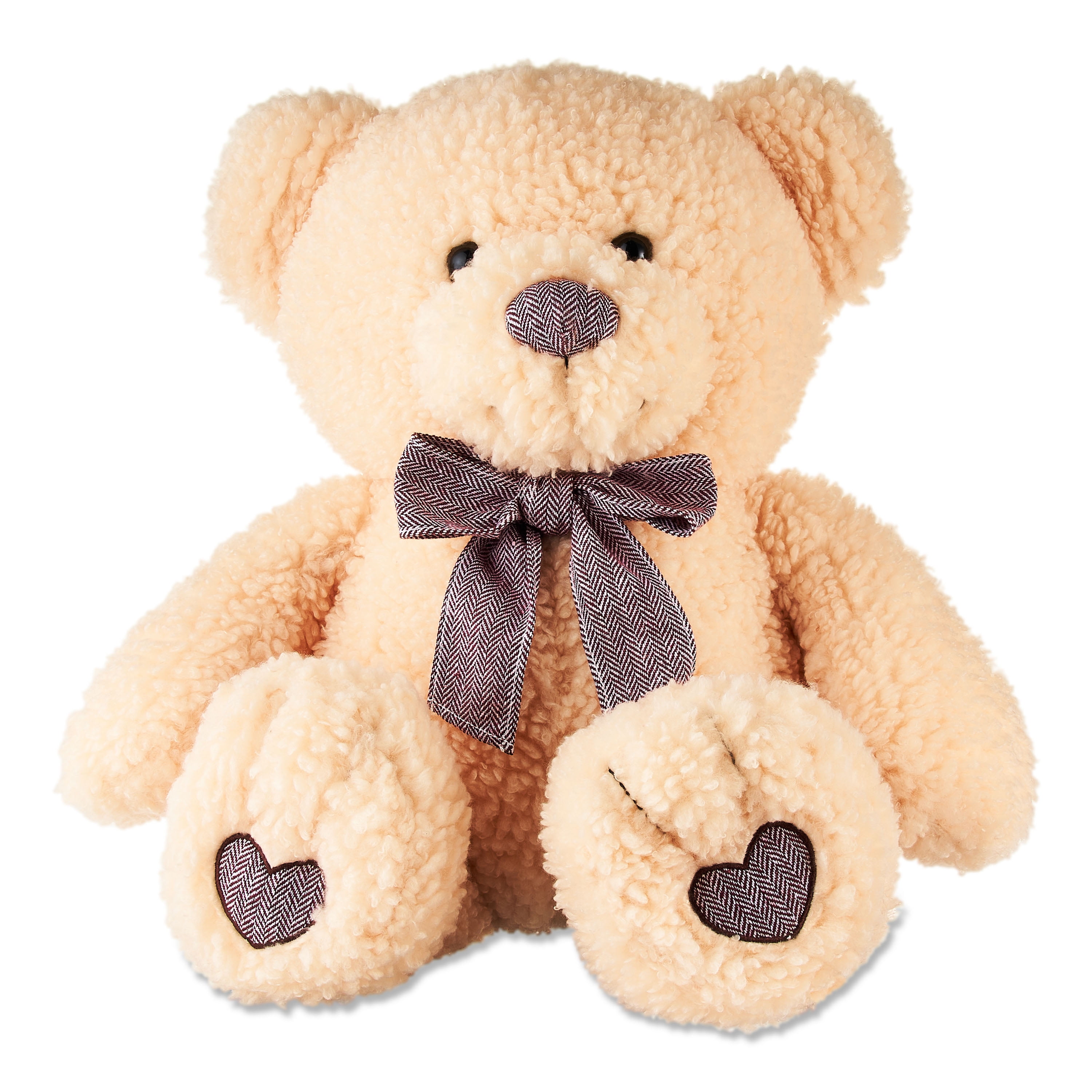 Way to Celebrate! Valentine's Day 18.5in Teddy Precious Plush Toy