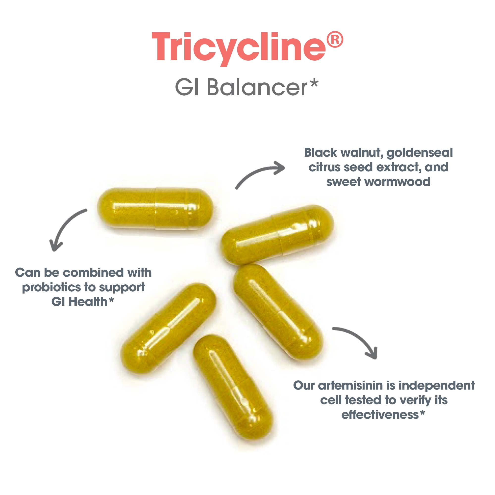 ARG Tricycline - Gut Health Supplement with Berberine & Artemisinin - Digestive & Microbiome Support - Botanical Blend - Vegetarian - 45 Servings - 90 Capsules