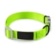 thumbnail image 1 of Collar ajustable con clip para perros de la colección primaria de RC Pets, 1 of 5