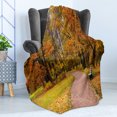 thumbnail image 4 of Fall Soft Flannel Fleece Blanket, Idyllic Rural Landscape Tranquility in the Park Pathway Woodland Peaceful Environment, Cozy Plush for Indoor and Outdoor Use, 70" x 90", Multicolor, by Ambesonne, 4 of 5