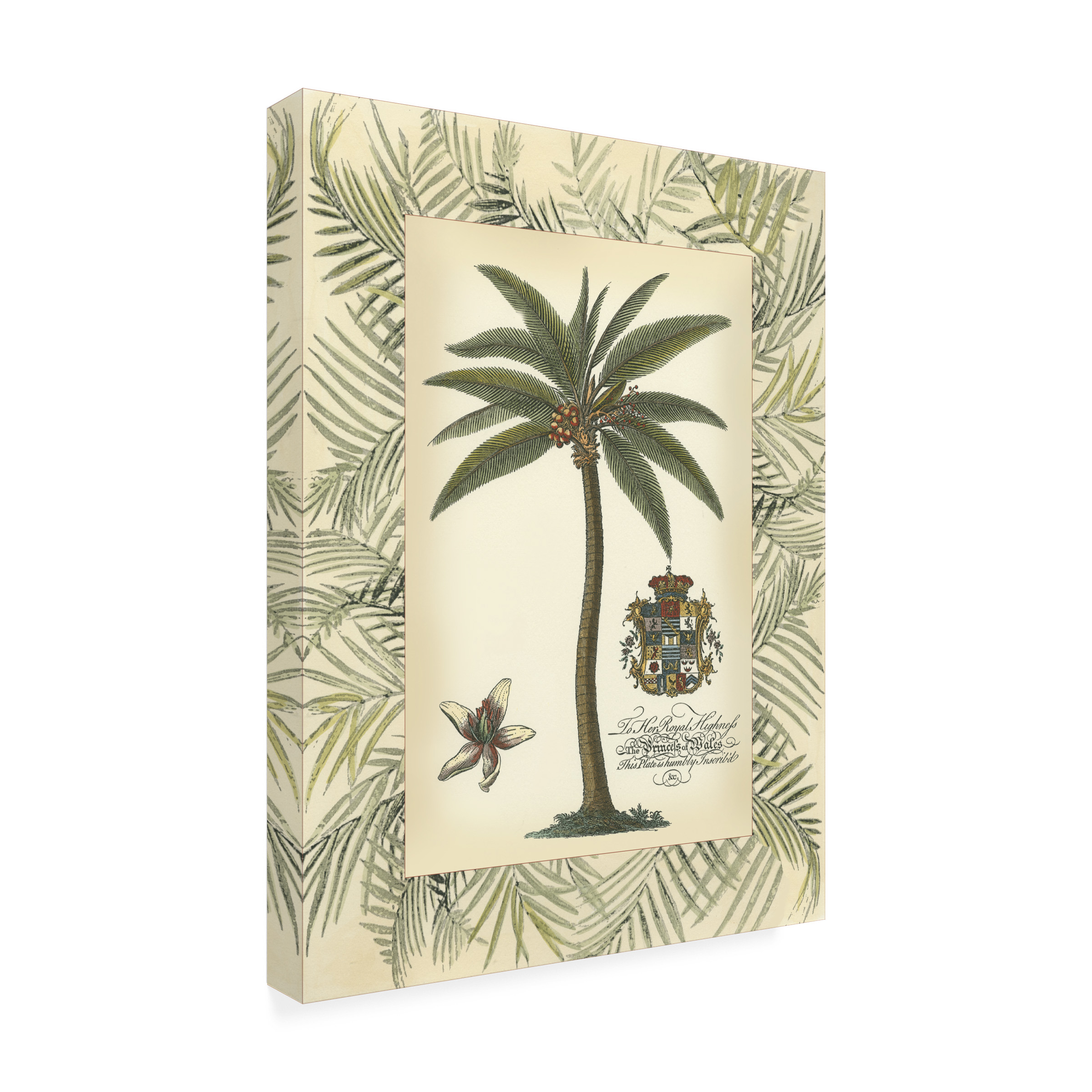 Vision Studio 'Palm In Bamboo Frame I' Outdoor Canvas 47x35