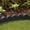 Gray, variant on GroundSmart SmartLoc Scallop Landscape Edging, 4' Black Rubber Garden Edging Border, 4 pack