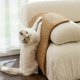 thumbnail image 3 of Horizontal Sisal Cat Scratching Mat Scratch-proof Protective Sofa Pad for Home Indoor, 3 of 5