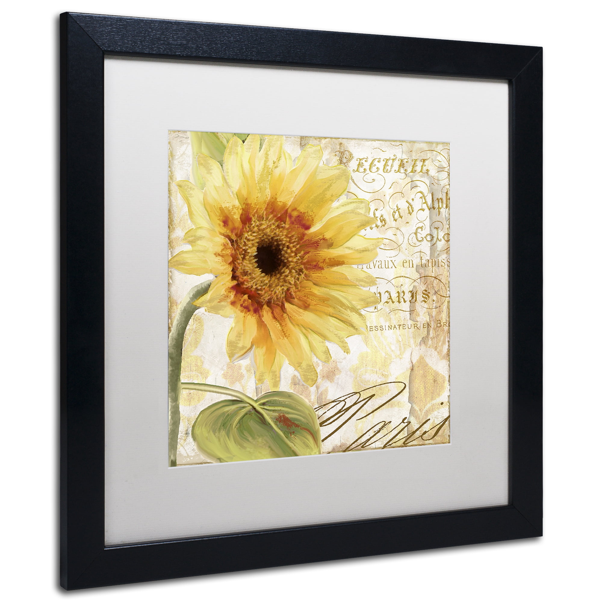 Trademark Fine Art 'Ete I' Black Framed Art by Color Bakery