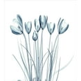 thumbnail image 3 of Ambesonne Flower Duvet Cover Set, Tulips with Solar Effect, Queen, Dark Petrol Blue White, 3 of 3