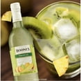 thumbnail image 3 of Pack de 12 Licor Boones Tropical 750 ml Boones Tropical, 3 of 3