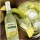 thumbnail image 3 of Pack de 12 Licor Boones Tropical 750 ml Boones Tropical, 3 of 3
