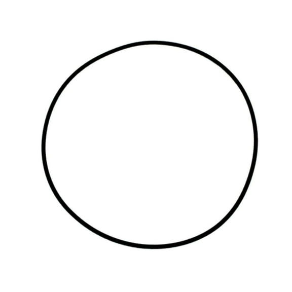 Polaris New OEM Cylinder Rubber O-Ring, 5413319