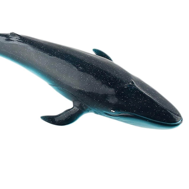 Baohd Realistic Whale Animal Model Whale Figure Education Soft Animal Model Figure Animal Model Whale Figure Kids Toy Blue Whale