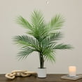 thumbnail image 3 of Mainstays 30"H Artificial Indoor Palm Tree in Plastic Vanilla Planter, 3 of 7